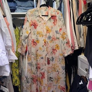 Zara tunic dress with liner